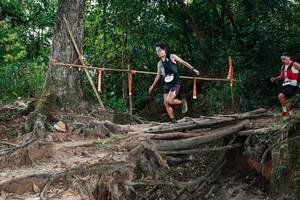 BIB: 
                            <button type="button" onclick="openModal(27800841)" class="btn btn-primary btn-sm float-right btn-popup" data-toggle="modal" data-target=".modal-high-quality">
                        <i class="fas fa-shopping-cart"></i> Add to Cart
                    </button>
                                            <button type="button" onclick="isThisMe(27800841, true)" class="btn btn-success btn-sm float-right btn-popup btn-isme hidden" data-toggle="tooltip" data-placement="bottom" title="นี่คือรูปของคุณใช่ไหม คลิกที่นี่เพื่อเอาเข้าอัลบั้ม">
                        <i class="fas fa-plus"></i> Add to album
                    </button>
                    <button type="button" onclick="isThisMe(27800841, false)" class="btn btn-warning btn-sm float-right btn-popup btn-isnotme hidden">
                        <i class="fas fa-ban"></i> Remove from album
                    </button>